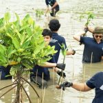 Universitas Pertamina Dorong Pemulihan Pesisir Muara Gembong Lewat Penanaman Mangrove