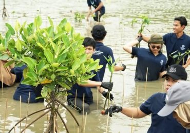 Universitas Pertamina Dorong Pemulihan Pesisir Muara Gembong Lewat Penanaman Mangrove