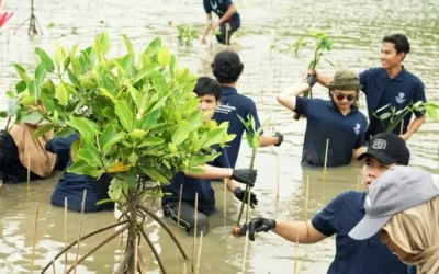 Universitas Pertamina Dorong Pemulihan Pesisir Muara Gembong Lewat Penanaman Mangrove