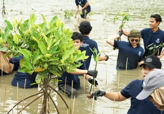 Universitas Pertamina Dorong Pemulihan Pesisir Muara Gembong Lewat Penanaman Mangrove